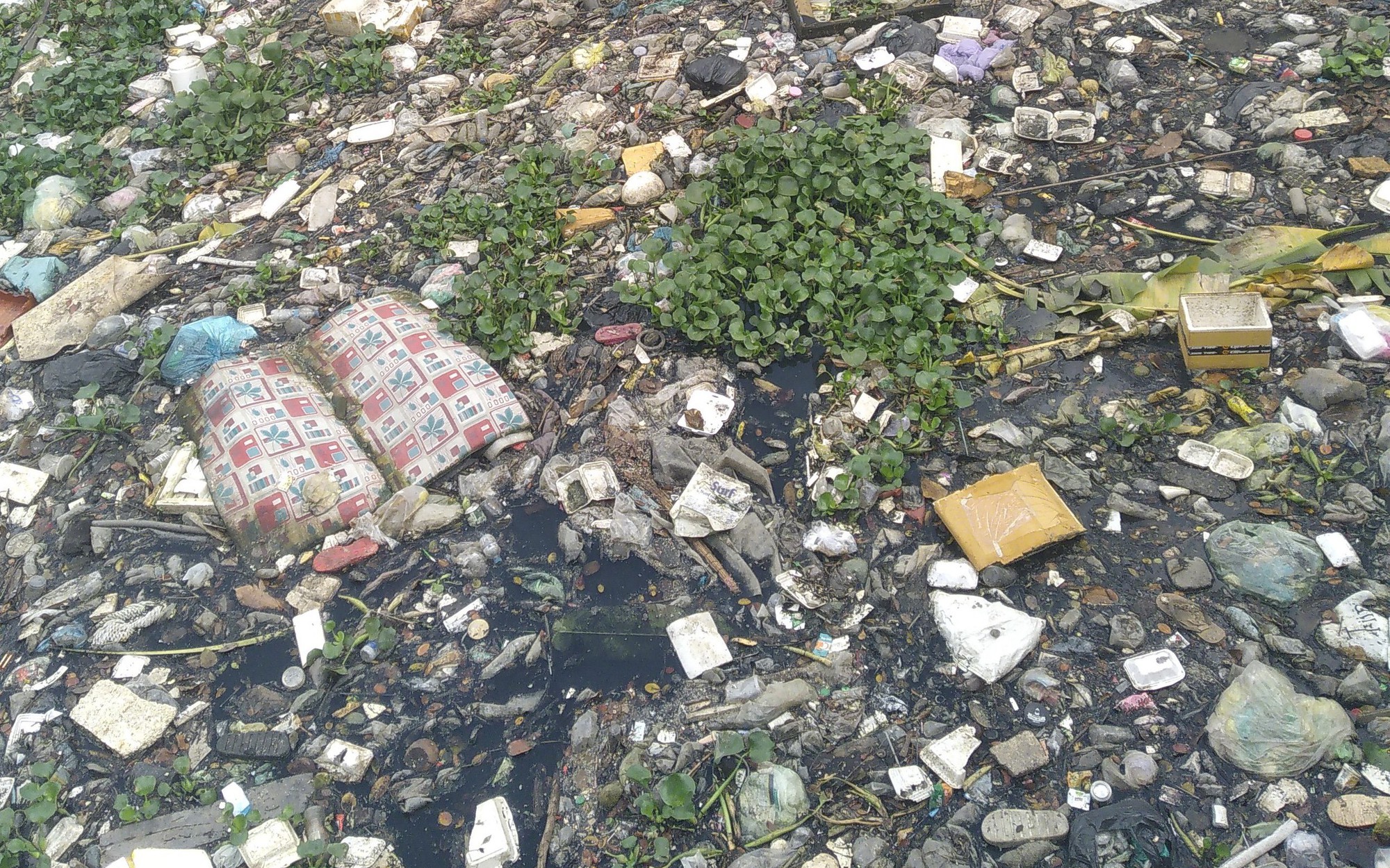 Kênh đầy rác