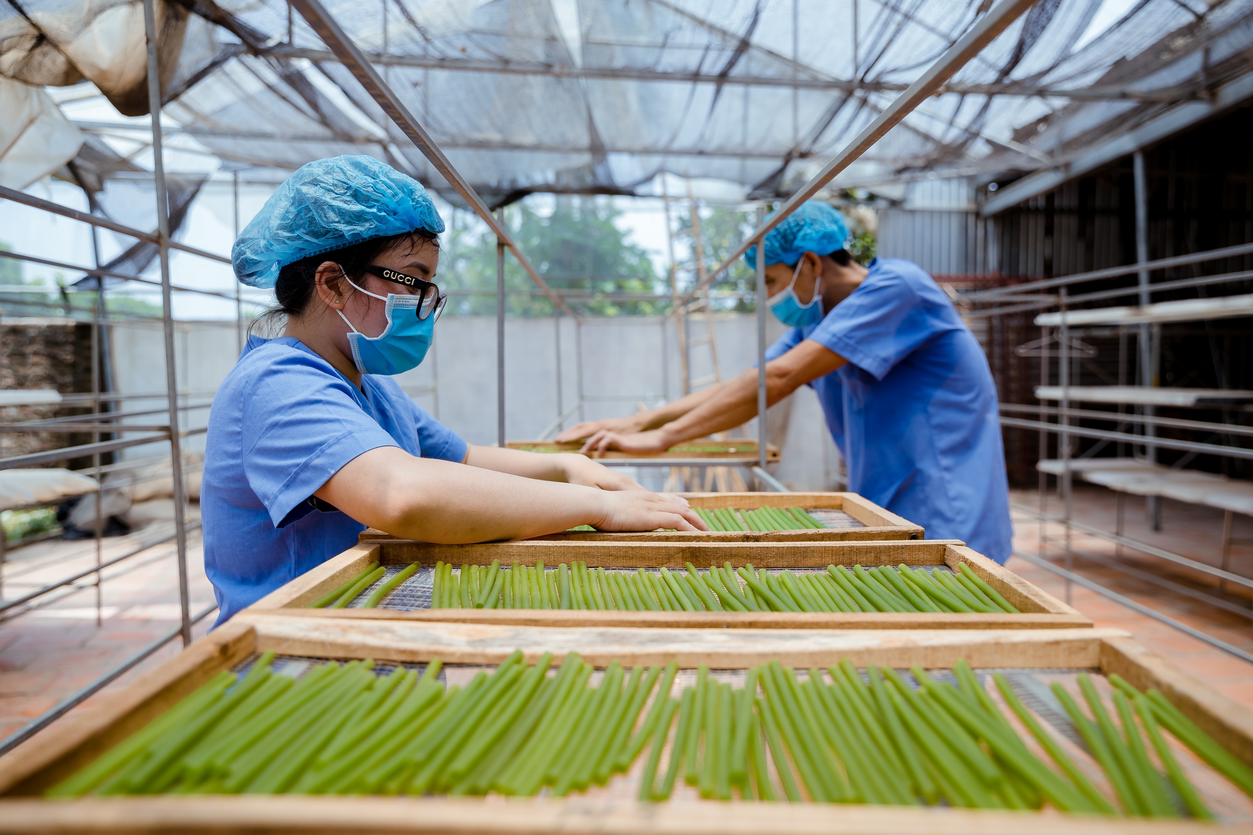 Chuyển đổi xanh l&agrave; cơ hội, nhu cầu: Đầu tư b&agrave;i bản sẽ h&aacute;i tr&aacute;i ngọt- Ảnh 1.
