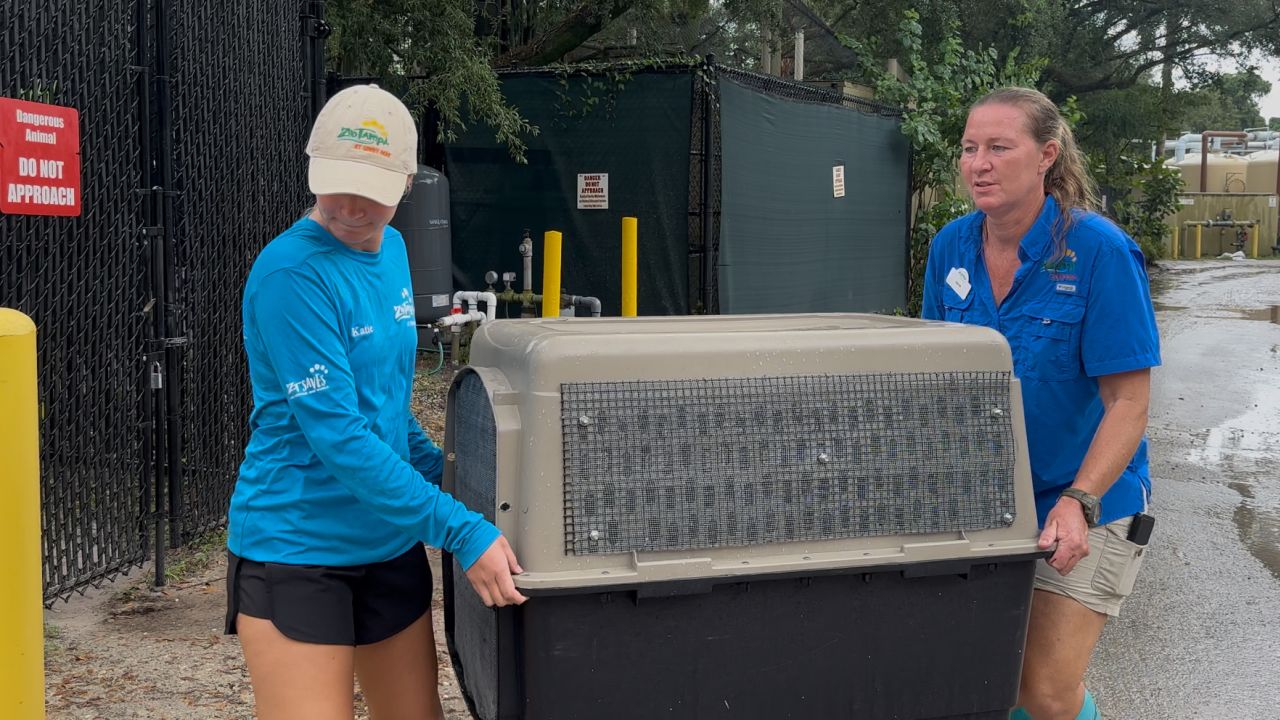 Team members work at ZooTampa in&nbsp;preparation&nbsp;for the potential impact of&nbsp;Hurricane&nbsp;Milton, in Tampa, Florida.