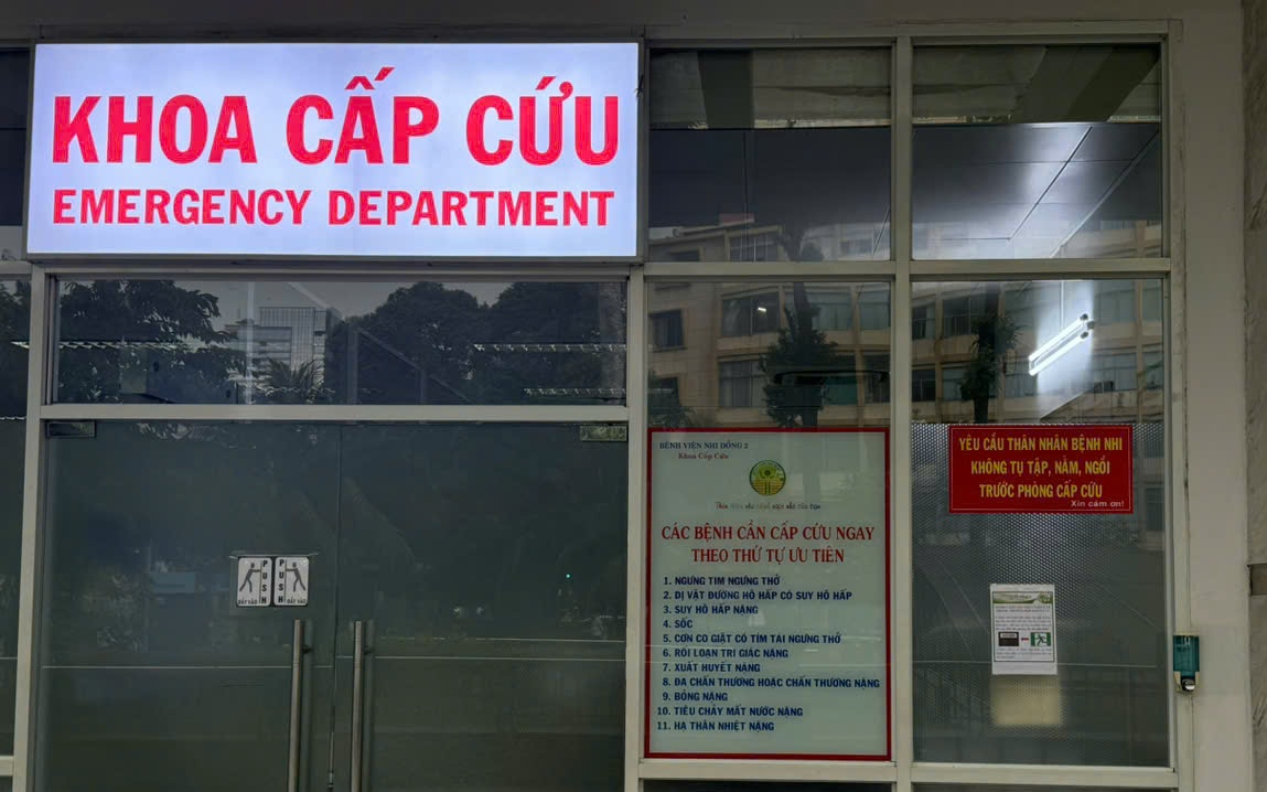 Bé gái 6 tuổi chấn thương nặng trong vụ cây xanh bật gốc đè 4 người ở quận 1, TP HCM