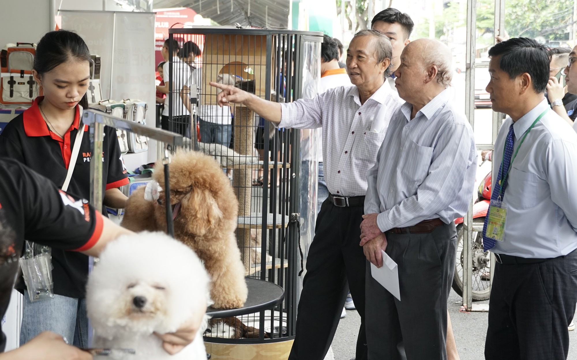 Ngành sinh vật cảnh lên ngôi