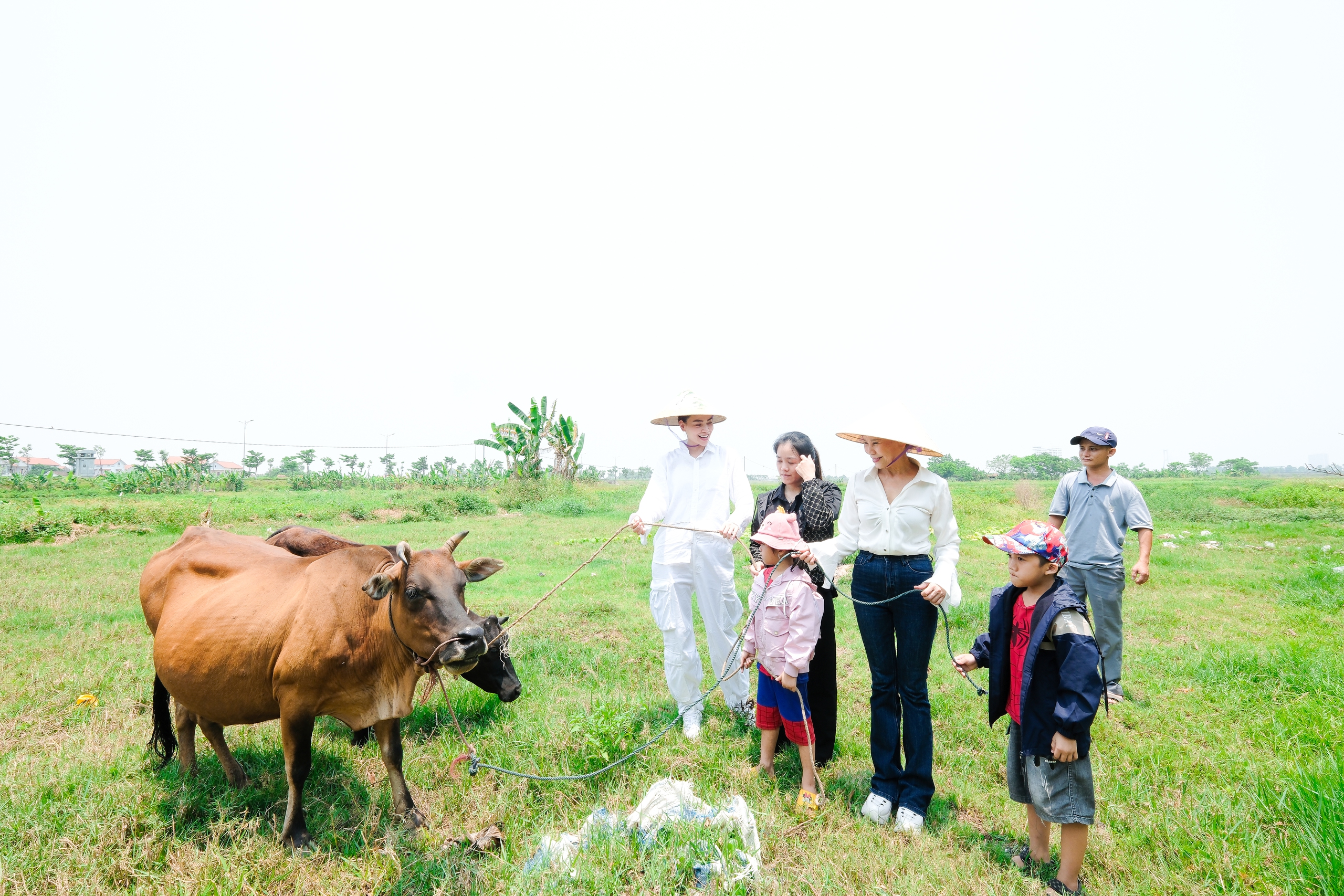 Hồ Ngọc Hà khóc khi chia sẻ với bé trai mồ côi
- Ảnh 1.