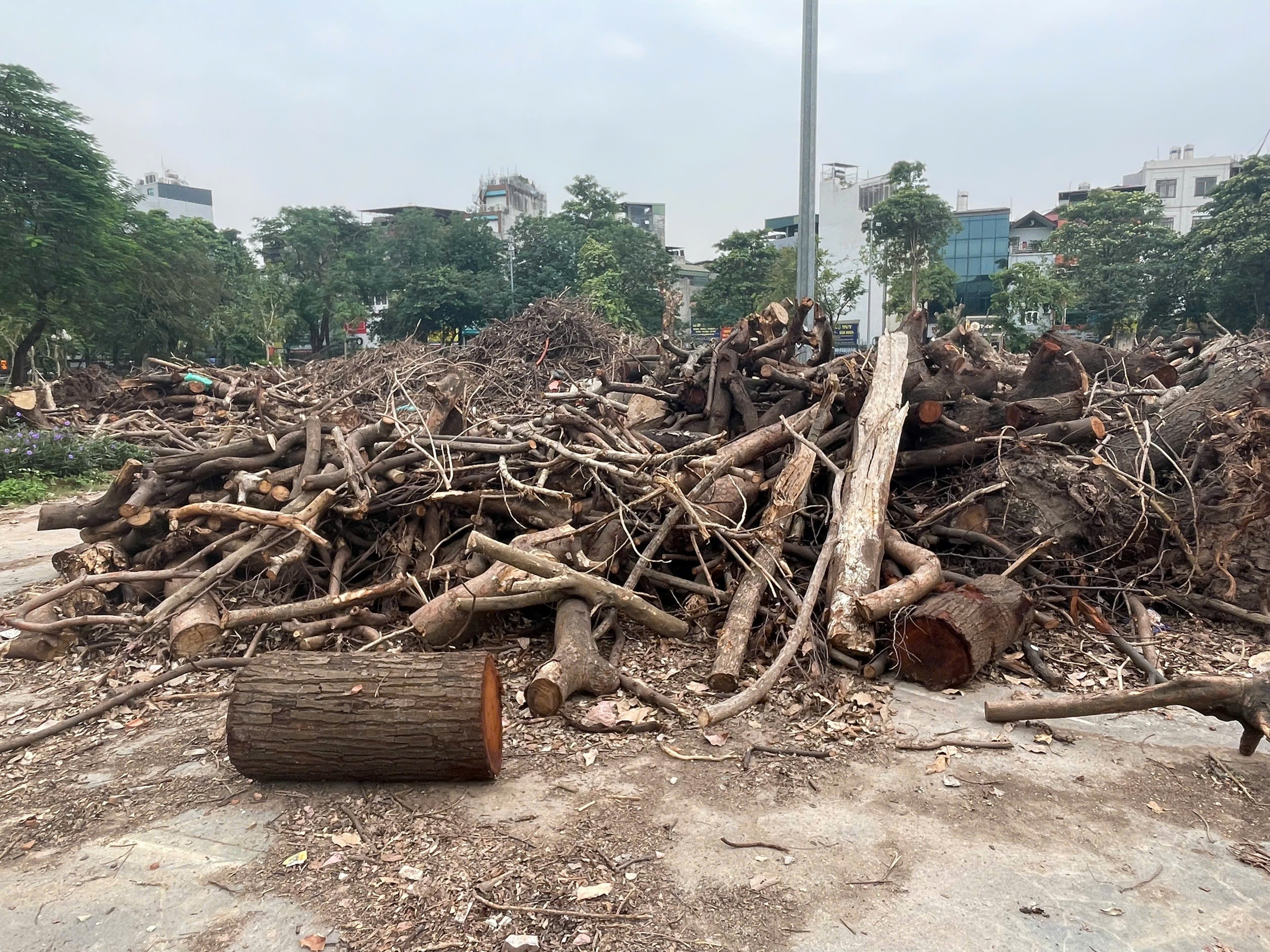C&ocirc;ng vi&ecirc;n Tuổi Trẻ Thủ Đ&ocirc; hoang t&agrave;n, xuống cấp nghi&ecirc;m trọng trước khi hạ r&agrave;o- Ảnh 5.