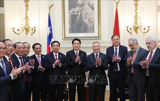 Chủ tịch nước Lương Cường hội kiến Chủ tịch Thượng viện Chile- Ảnh 6.