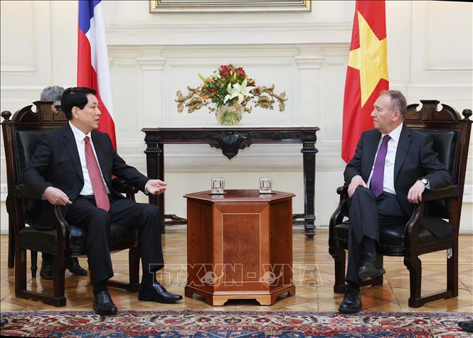 Chủ tịch nước Lương Cường hội kiến Chủ tịch Thượng viện Chile- Ảnh 3.