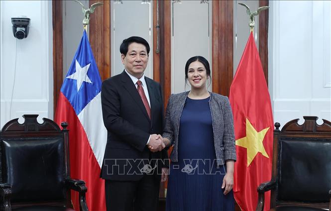 Chủ tịch nước Lương Cường hội kiến Chủ tịch Hạ viện Chile- Ảnh 2.