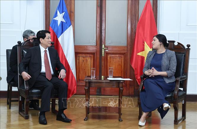 Chủ tịch nước Lương Cường hội kiến Chủ tịch Hạ viện Chile- Ảnh 3.