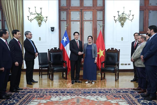 Chủ tịch nước Lương Cường hội kiến Chủ tịch Hạ viện Chile- Ảnh 4.