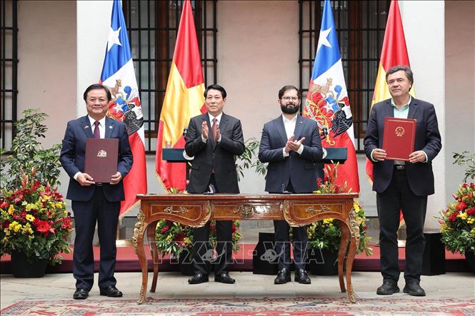 Chủ tịch nước Lương Cường hội đ&agrave;m với Tổng thống Chile- Ảnh 9.