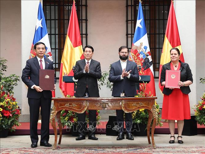 Chủ tịch nước Lương Cường hội đ&agrave;m với Tổng thống Chile- Ảnh 7.