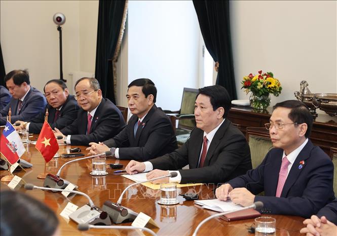 Chủ tịch nước Lương Cường hội đ&agrave;m với Tổng thống Chile- Ảnh 4.