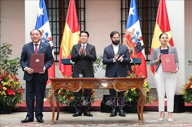 Chủ tịch nước Lương Cường hội đ&agrave;m với Tổng thống Chile- Ảnh 8.