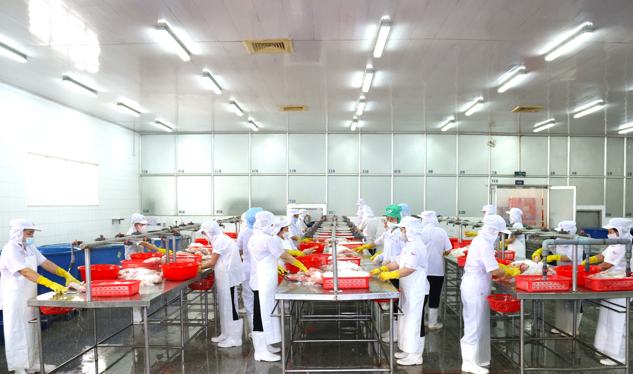 3 quyền lợi của người lao động đ&oacute;ng BHXH dưới 20 năm- Ảnh 2.