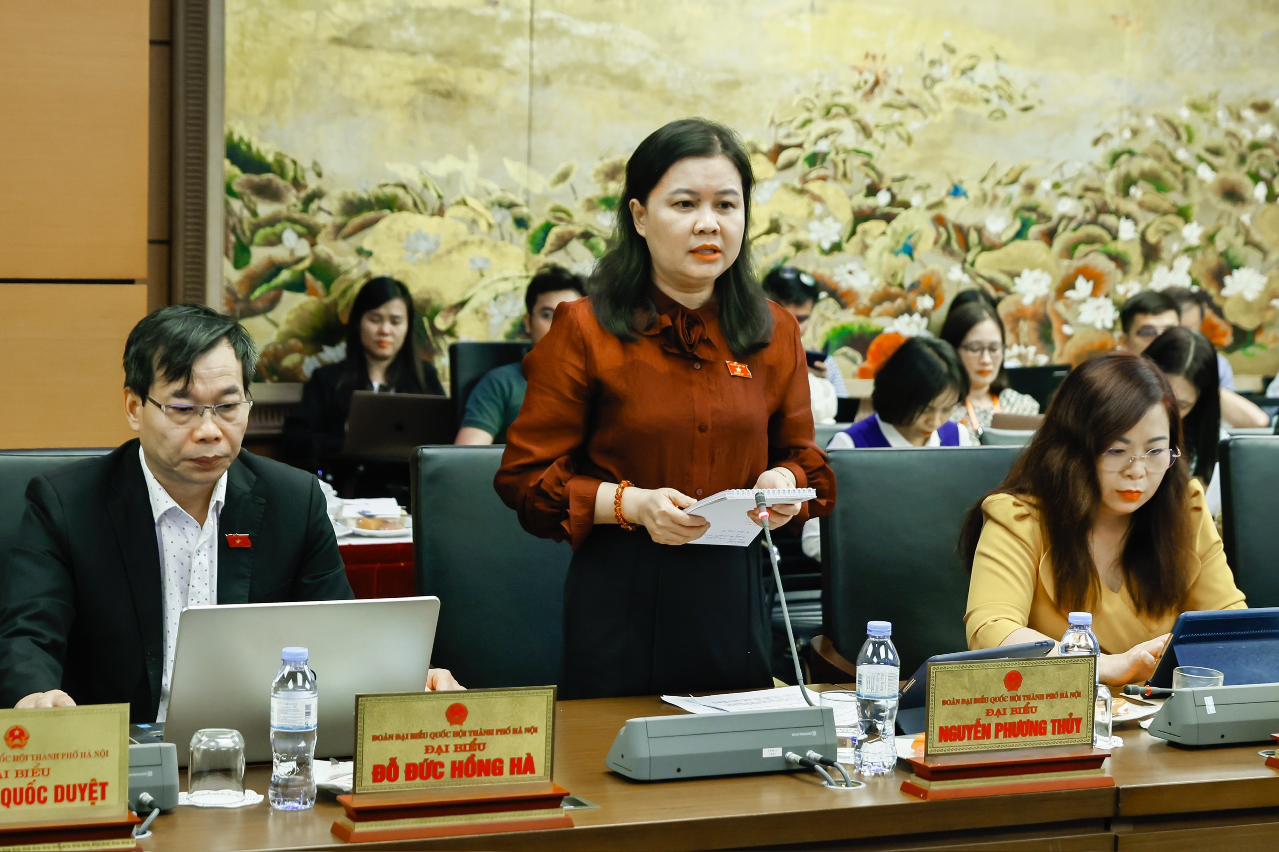 Đại biểu Nguyễn Phương Thủy lo ngại xảy ra sốt đất khi mở rộng c&aacute;c loại đất được  l&agrave;m nh&agrave; ở thương mạiẢnh: HỒ LONG