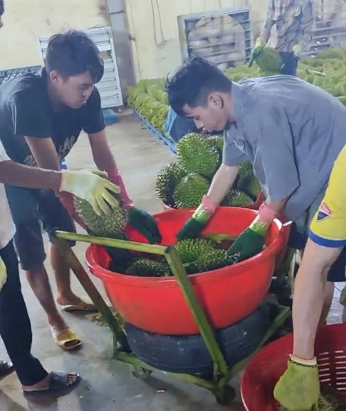 R&Ugrave;NG M&Igrave;NH "THỊ TRƯỜNG" CHẤT ĐỘC (*): Ngăn chặn chất độc l&ecirc;n b&agrave;n ăn- Ảnh 1.