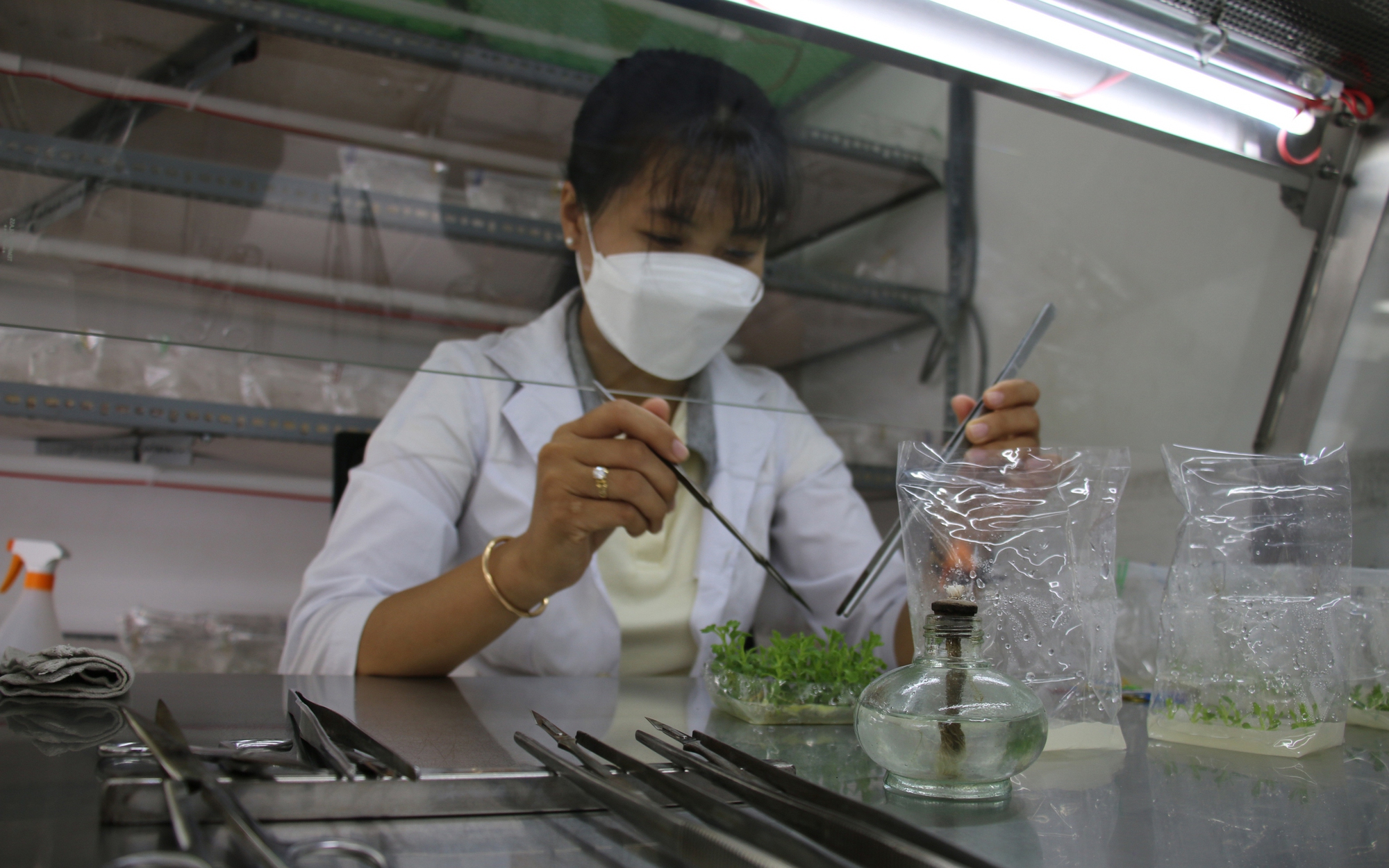ĐBSCL th&uacute;c đẩy khởi nghiệp
