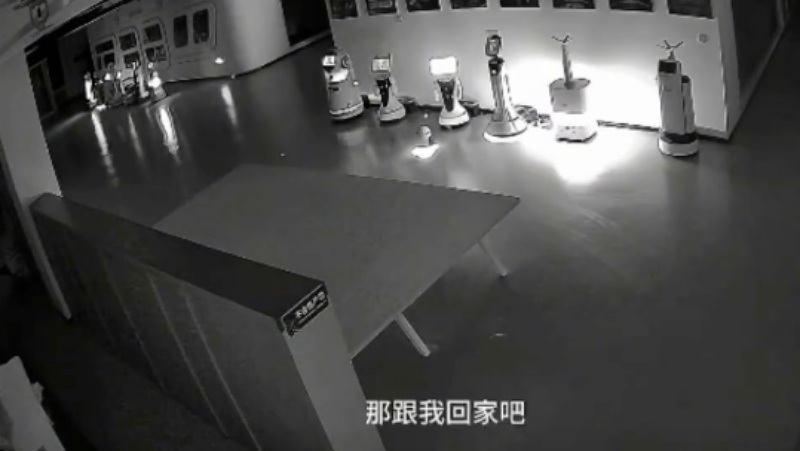 Robot Nhị Bạch "rủ r&ecirc;" c&aacute;c robot kh&aacute;c "về nh&agrave;". Ảnh: YouTube