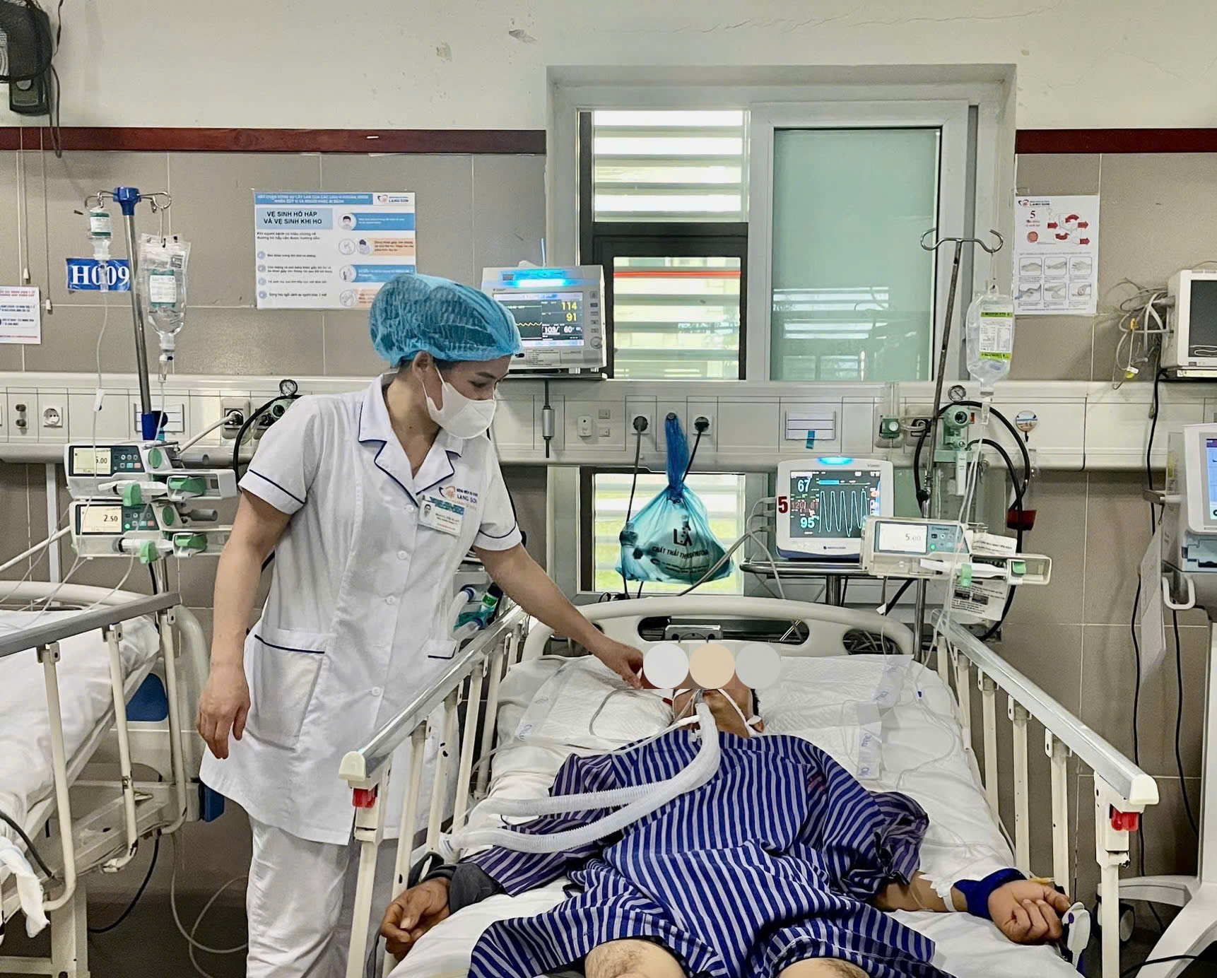 Ngộ độc do ăn hoa chuông- Ảnh 1.