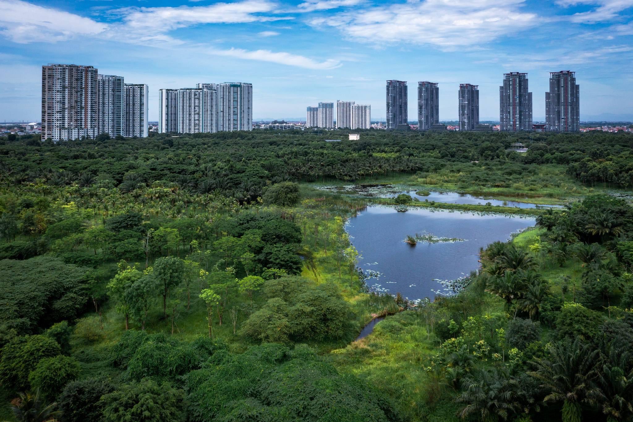 Nhà sáng lập Ecopark được vinh danh Chủ đầu tư của thập kỷ tại Việt Nam PropertyGuru- Ảnh 2. Nhà sáng lập Ecopark được vinh danh Chủ đầu tư của thập kỷ tại Việt Nam PropertyGuru- Ảnh 2.