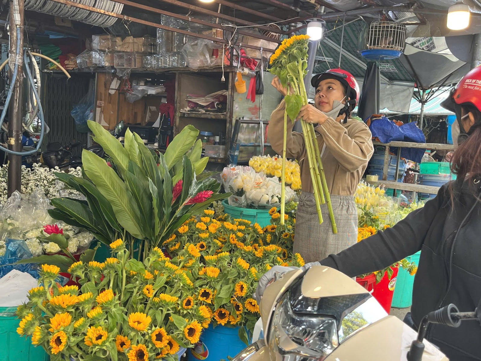 Thị trường hoa, qu&agrave; tặng tri &acirc;n thầy c&ocirc; dịp 20-11 c&oacute; g&igrave; đặc biệt? - Ảnh 3.