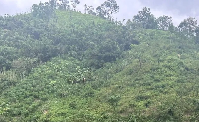 Nghi ngờ tiểu bậy v&agrave;o chai nước, người đ&agrave;n &ocirc;ng bị đ&aacute;nh nhập viện- Ảnh 1.