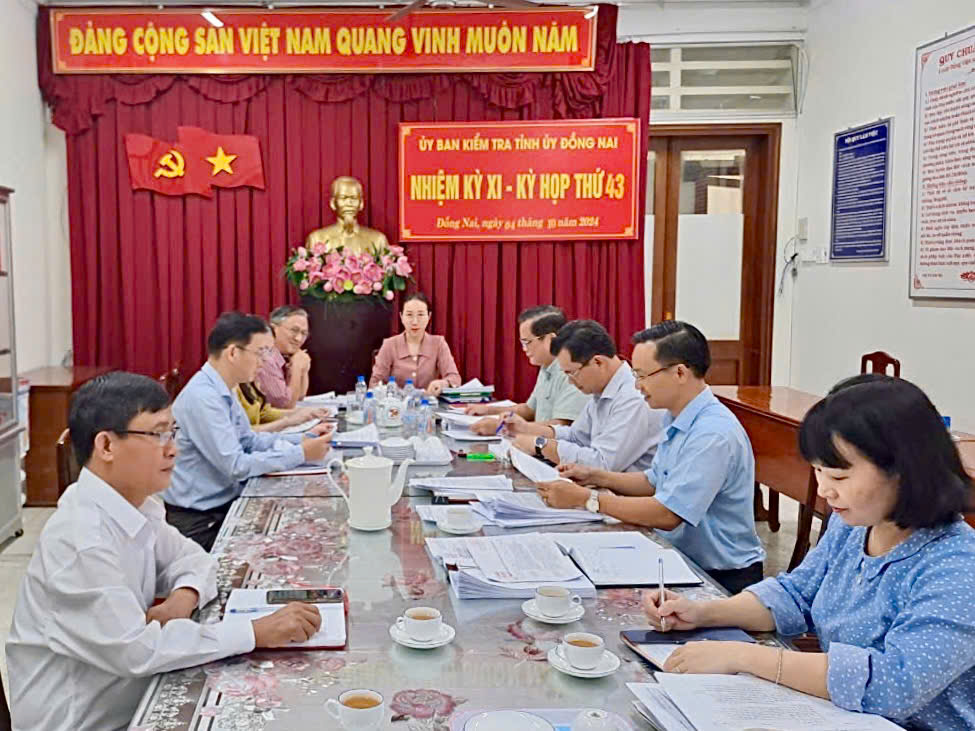 Đồng Nai đề nghị kỷ luật một số tổ chức đảng, đảng viên- Ảnh 1.
