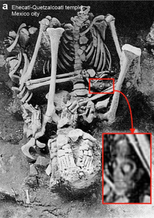 Nghe "c&ograve;i b&aacute;o tử" từ mộ người Aztec, 70 người c&oacute; triệu chứng lạ- Ảnh 2.