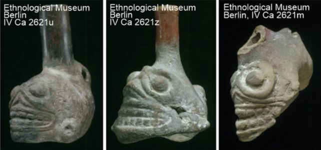 Nghe "c&ograve;i b&aacute;o tử" từ mộ người Aztec, 70 người c&oacute; triệu chứng lạ- Ảnh 1.