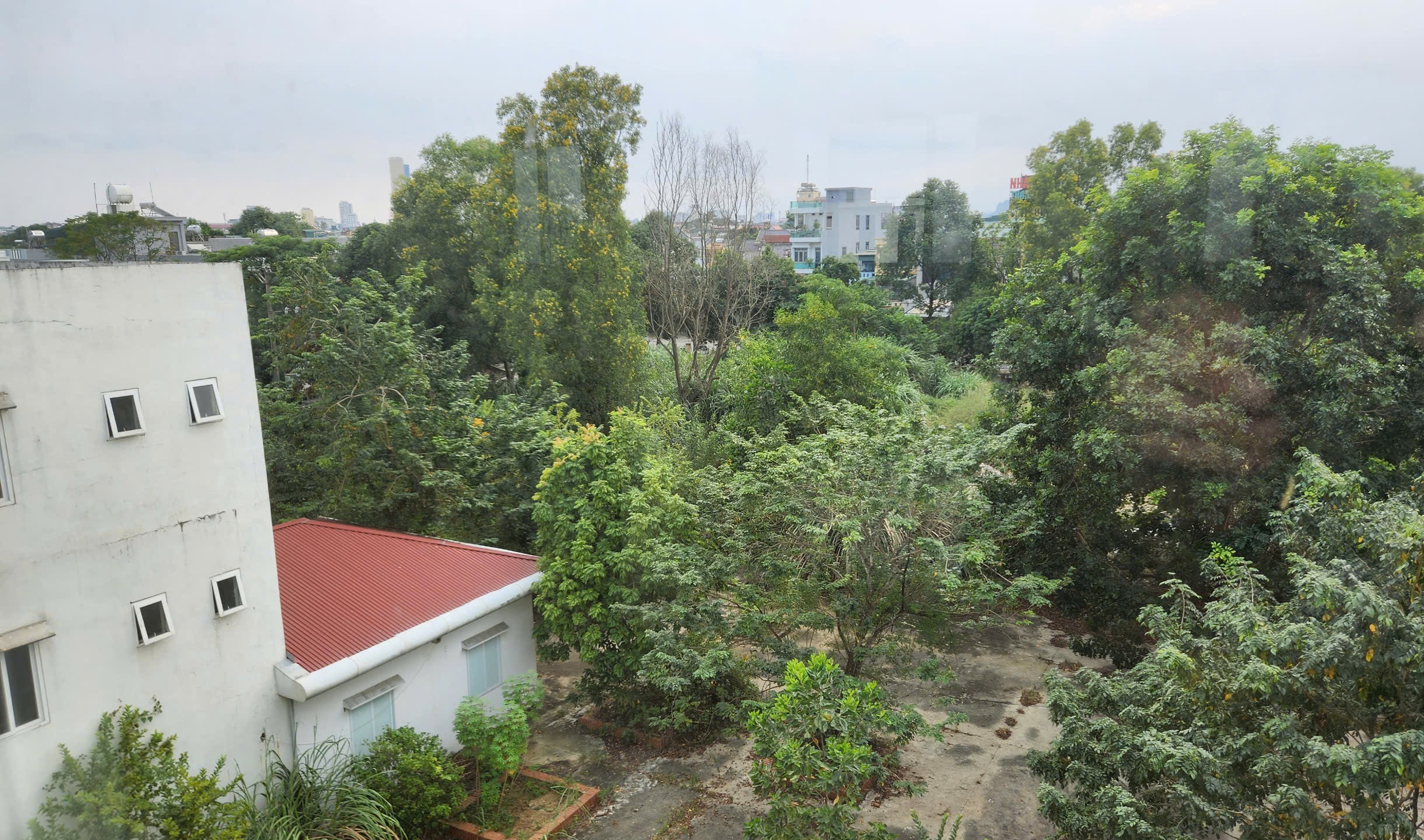 Ph&ograve;ng kh&aacute;m bỏ hoang tr&ecirc;n khu "đất v&agrave;ng" hơn 8.000 m2 ở TP Thanh H&oacute;a- Ảnh 16.