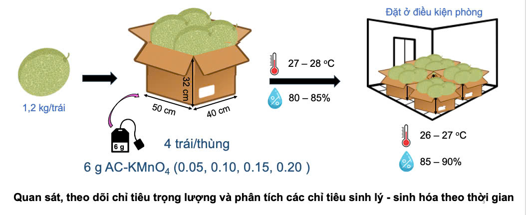 Bất ngờ với những nghi&ecirc;n cứu c&ocirc;ng nghệ chế biến v&agrave; bảo quản của sinh vi&ecirc;n- Ảnh 2.
