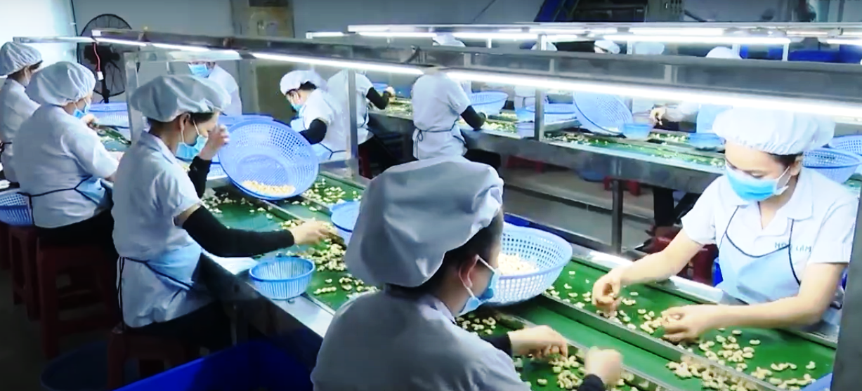 Ph&uacute; Y&ecirc;n ưu ti&ecirc;n ph&aacute;t triển c&ocirc;ng nghiệp động lực gắn kinh tế biển- Ảnh 5.