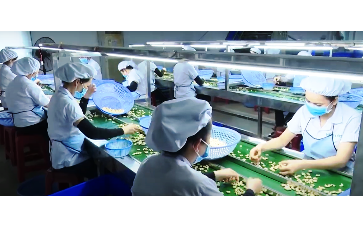 Phú Yên ưu tiên phát triển công nghiệp động lực gắn kinh tế biển