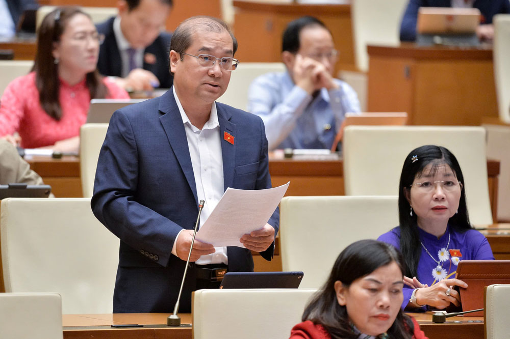 Đại biểu Tr&igrave;nh Lam Sinh b&agrave;y tỏ lo ngại trước t&igrave;nh h&igrave;nh gia tăng tội phạm c&ocirc;ng nghệ cao, tội phạm chưa th&agrave;nh ni&ecirc;n. Ảnh: HỒ LONG