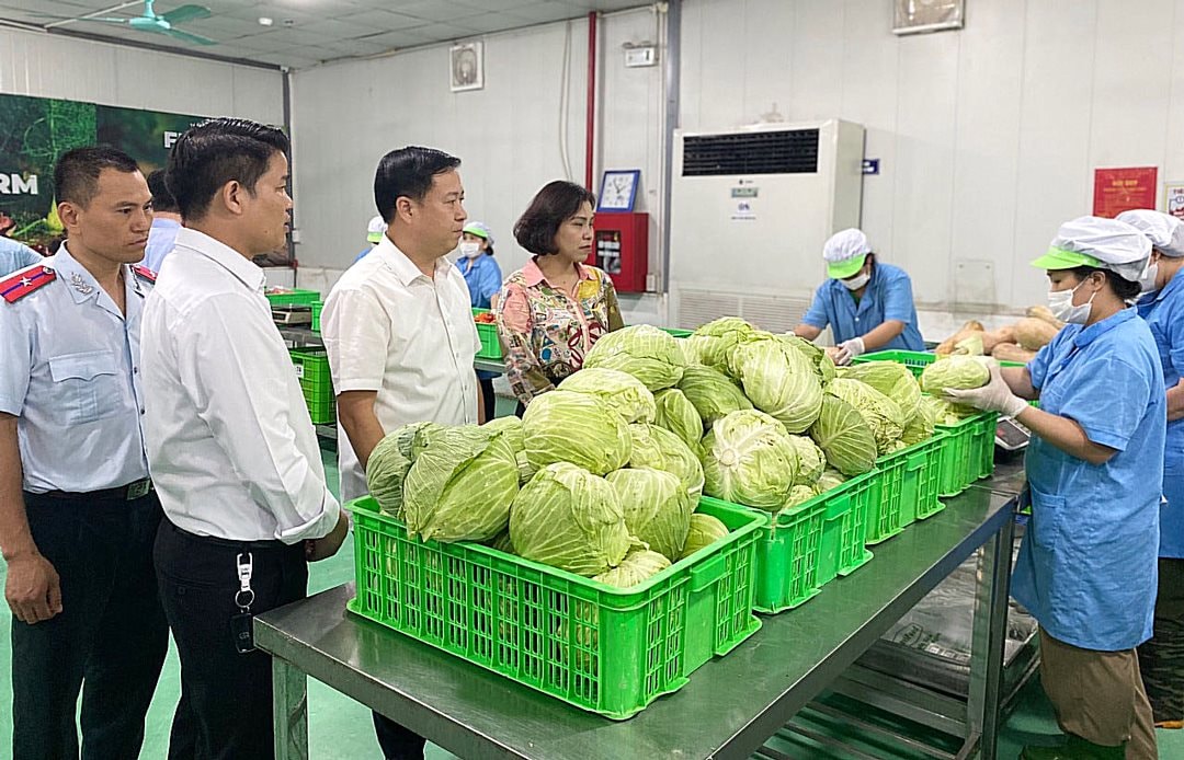 Lập 4 đo&agrave;n kiểm tra li&ecirc;n ng&agrave;nh an to&agrave;n thực phẩm Tết- Ảnh 2.