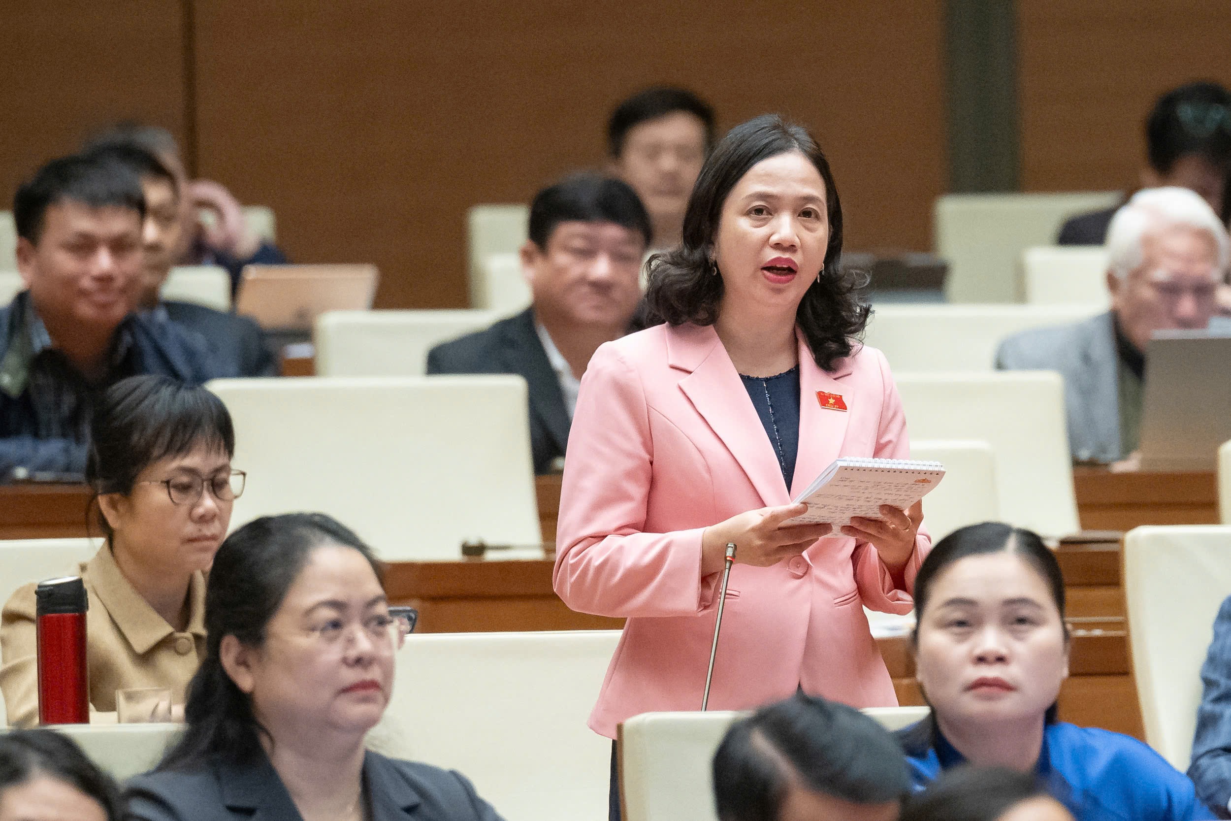 Đại biểu Điểu Huỳnh Sang ph&aacute;t biểu thảo luận về dự &aacute;n Luật Thuế ti&ecirc;u thụ đặc biệt (sửa đổi)Ảnh: HỒ LONG