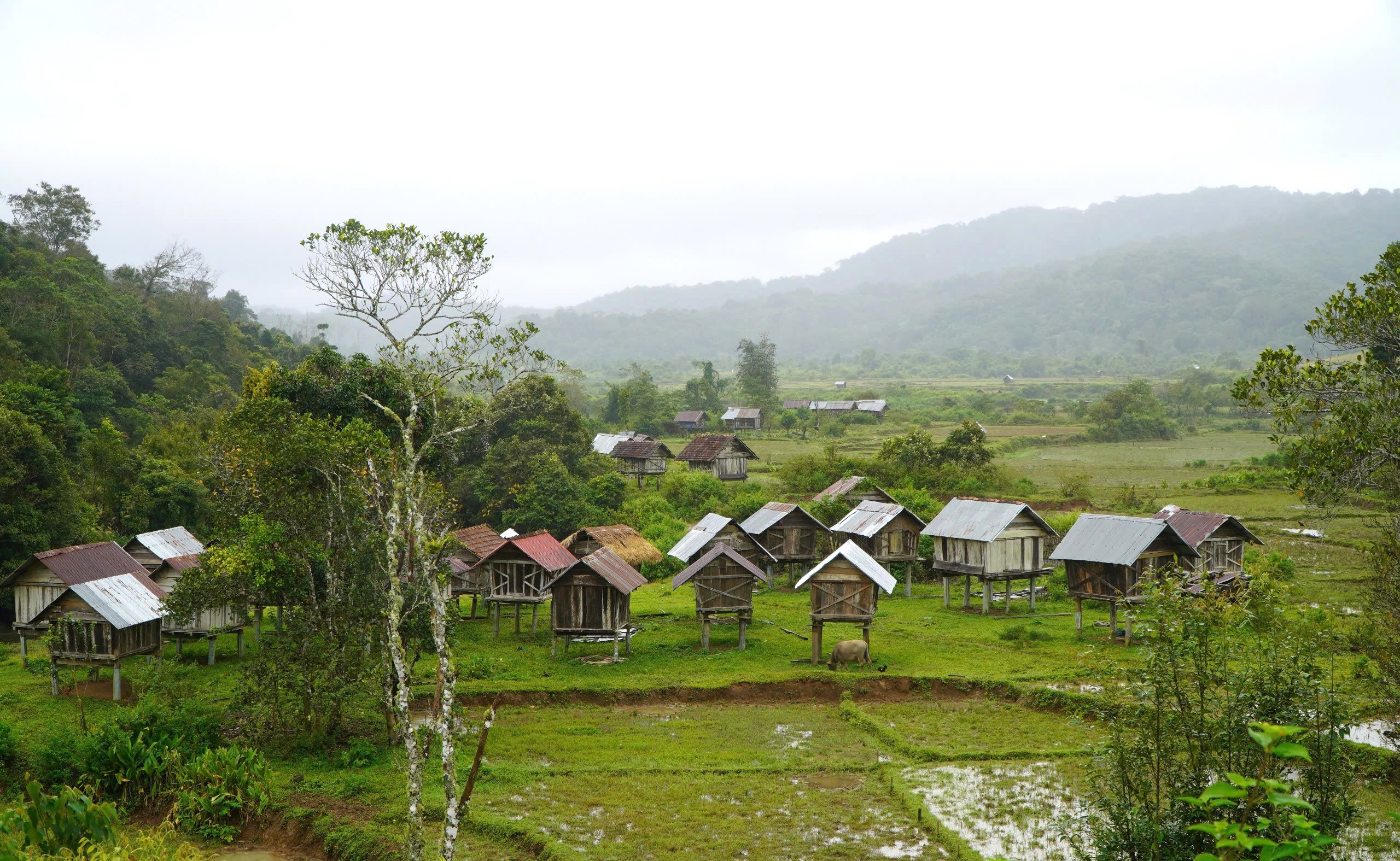 Những ngôi làng bình yên của người Ba Na- Ảnh 10.