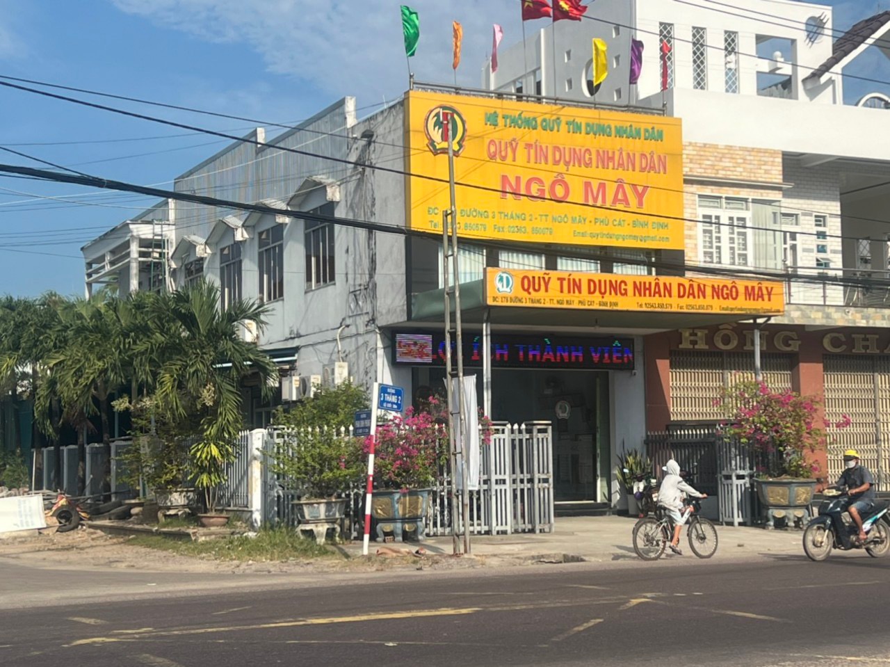 L&ugrave;m x&ugrave;m ở Quỹ T&iacute;n dụng Ng&ocirc; M&acirc;y: Đề nghị đ&igrave;nh chỉ chủ tịch HĐQT- Ảnh 1.