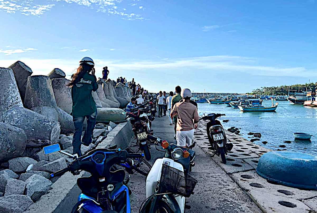 Ph&aacute;t hiện thi thể nghi l&agrave; du kh&aacute;ch mất t&iacute;ch khi ch&egrave;o sup ở biển Ph&uacute; Qu&yacute; - Ảnh 1.