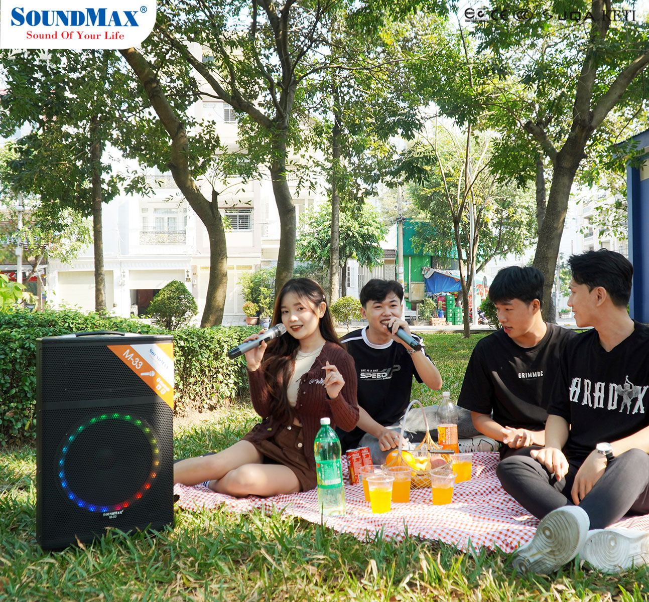 SoundMax khuấy đảo thị trường &acirc;m thanh cuối năm- Ảnh 1.