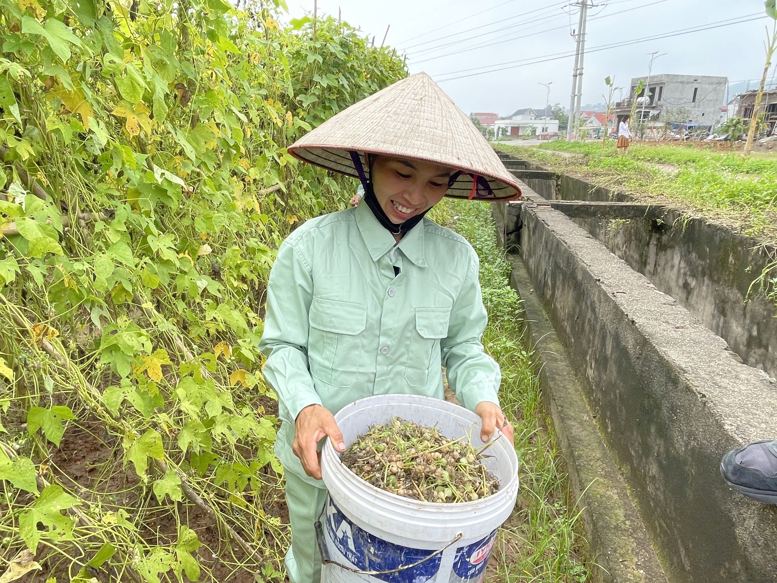 Bộ Y tế cảnh b&aacute;o "lương y", "thần y" gia truyền dỏm- Ảnh 2.