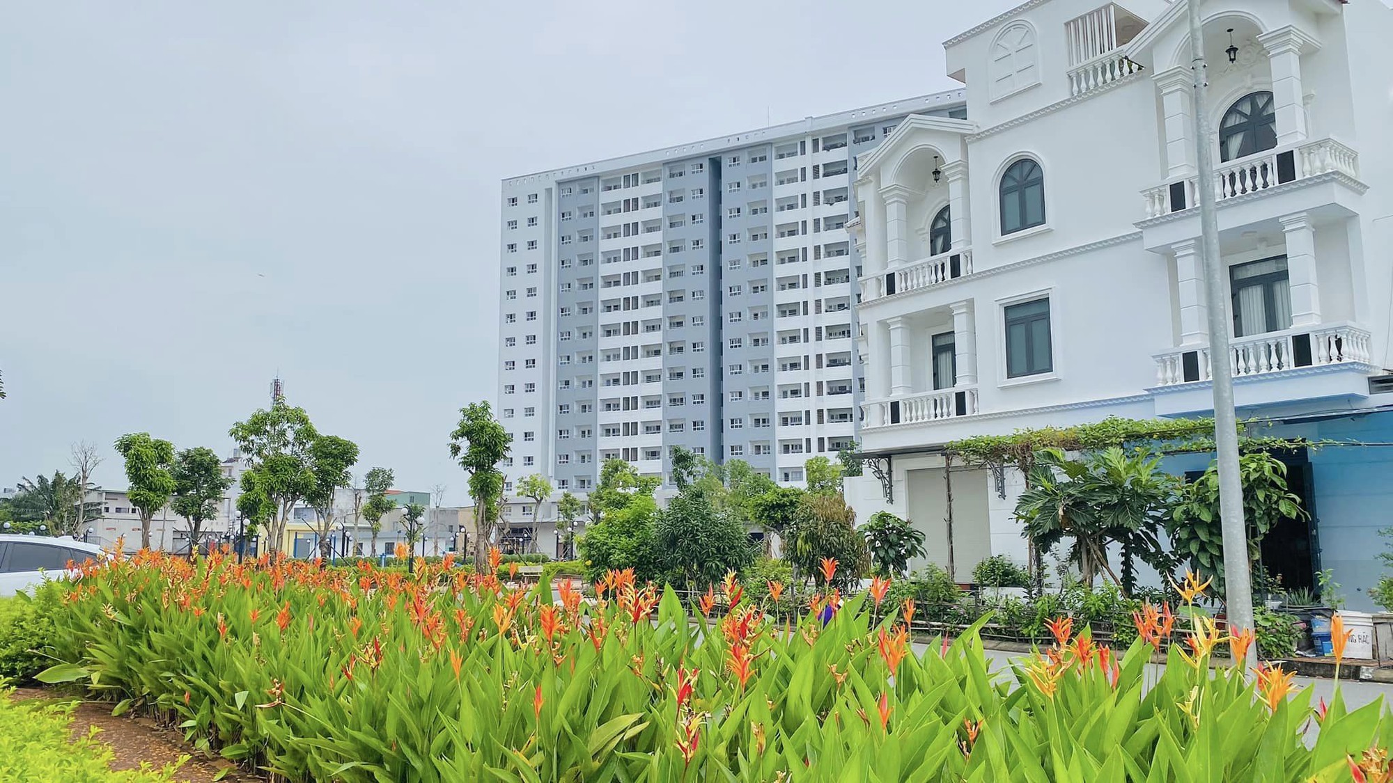 A white building with orange flowers Description automatically generated