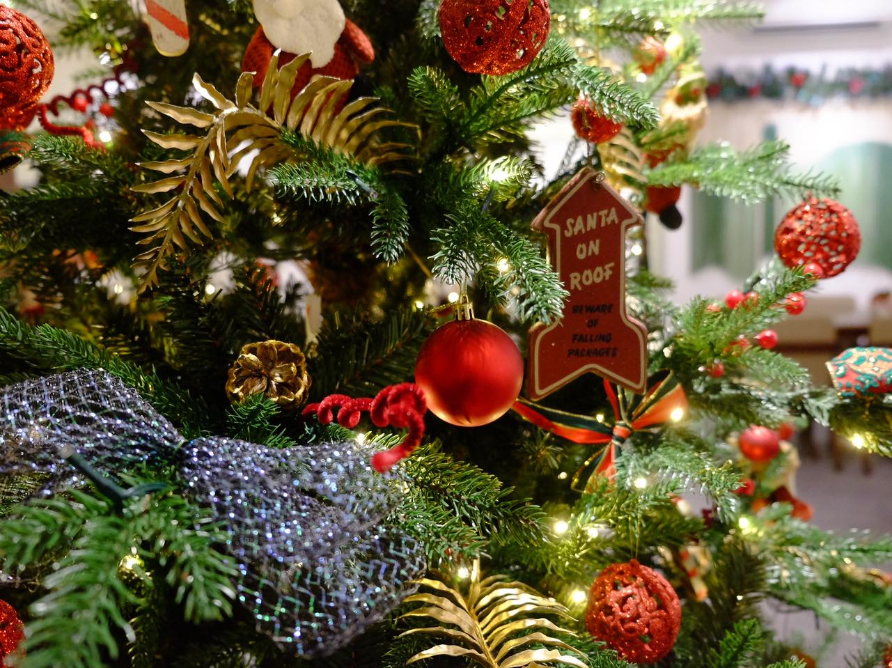 Chủ qu&aacute;n c&agrave; ph&ecirc; "hốt bạc" nhờ theo trend chụp h&igrave;nh m&ugrave;a Noel- Ảnh 6.