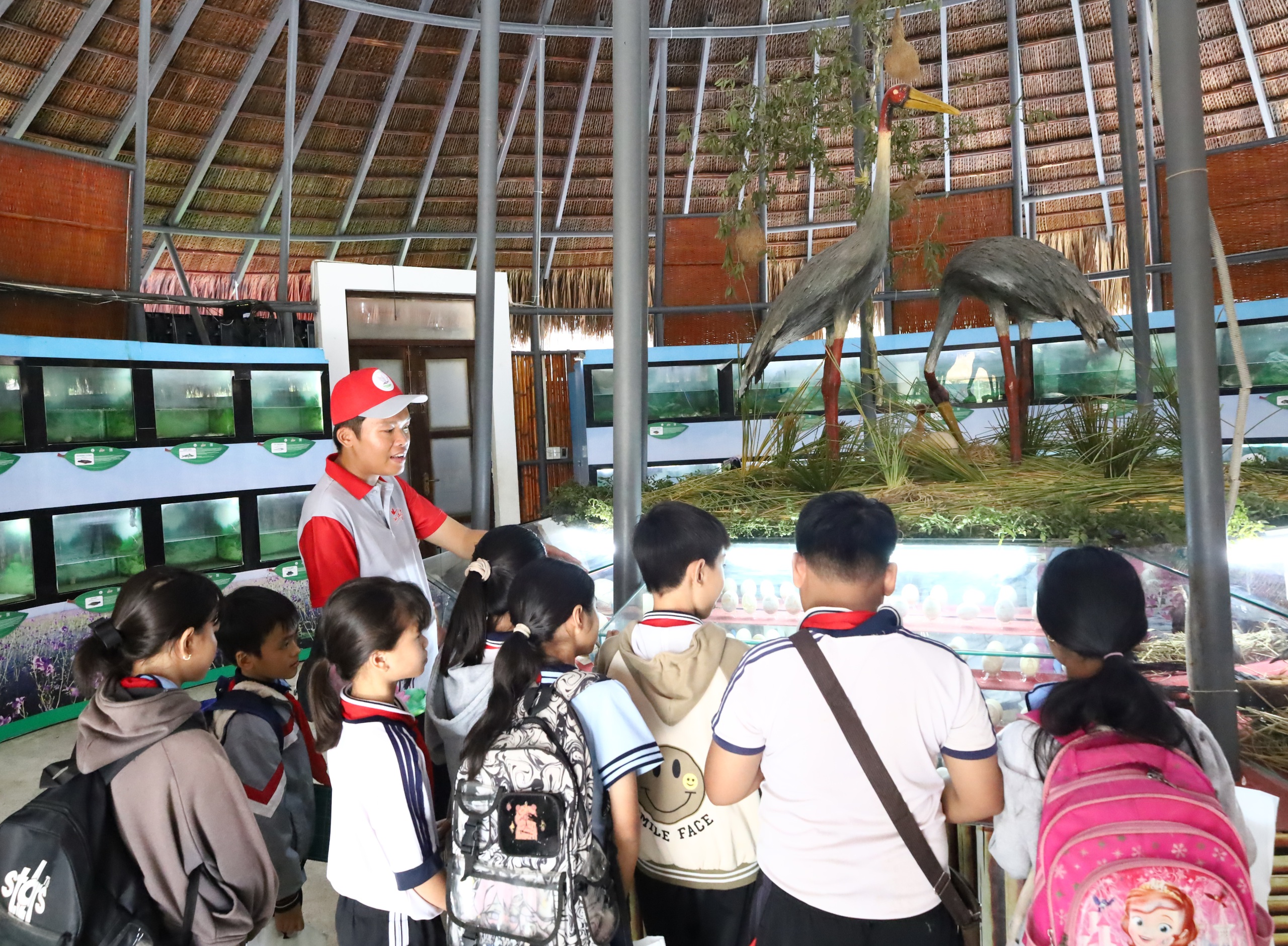 Học sinh tham quan mô hình sếu đầu đỏ tái hiện tại Vườn Quốc gia Tràm Chim