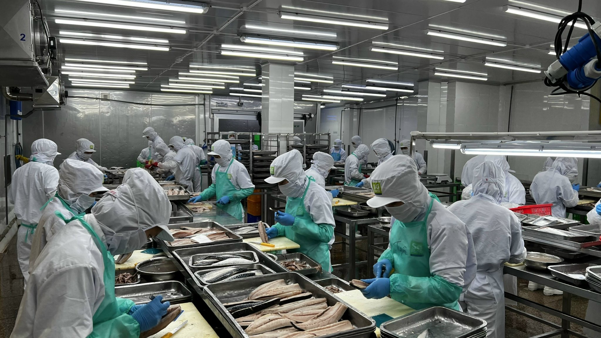 An t&acirc;m đ&oacute;n Tết- Ảnh 1.