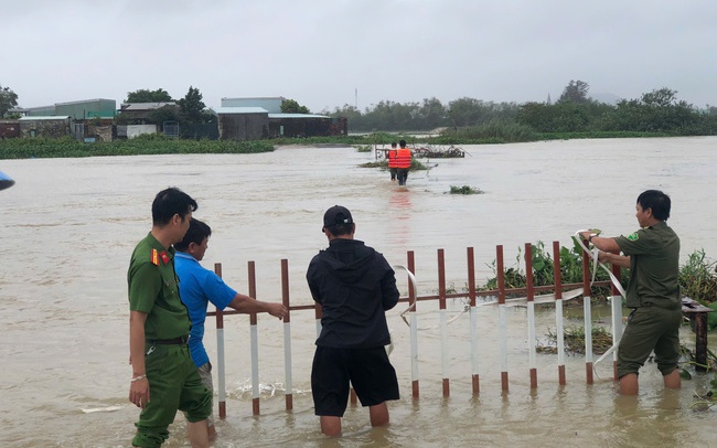 Mưa lớn khiến 2.500 ha lúa vừa gieo sạ vùng “rốn lũ” Bình Định ngập úng
