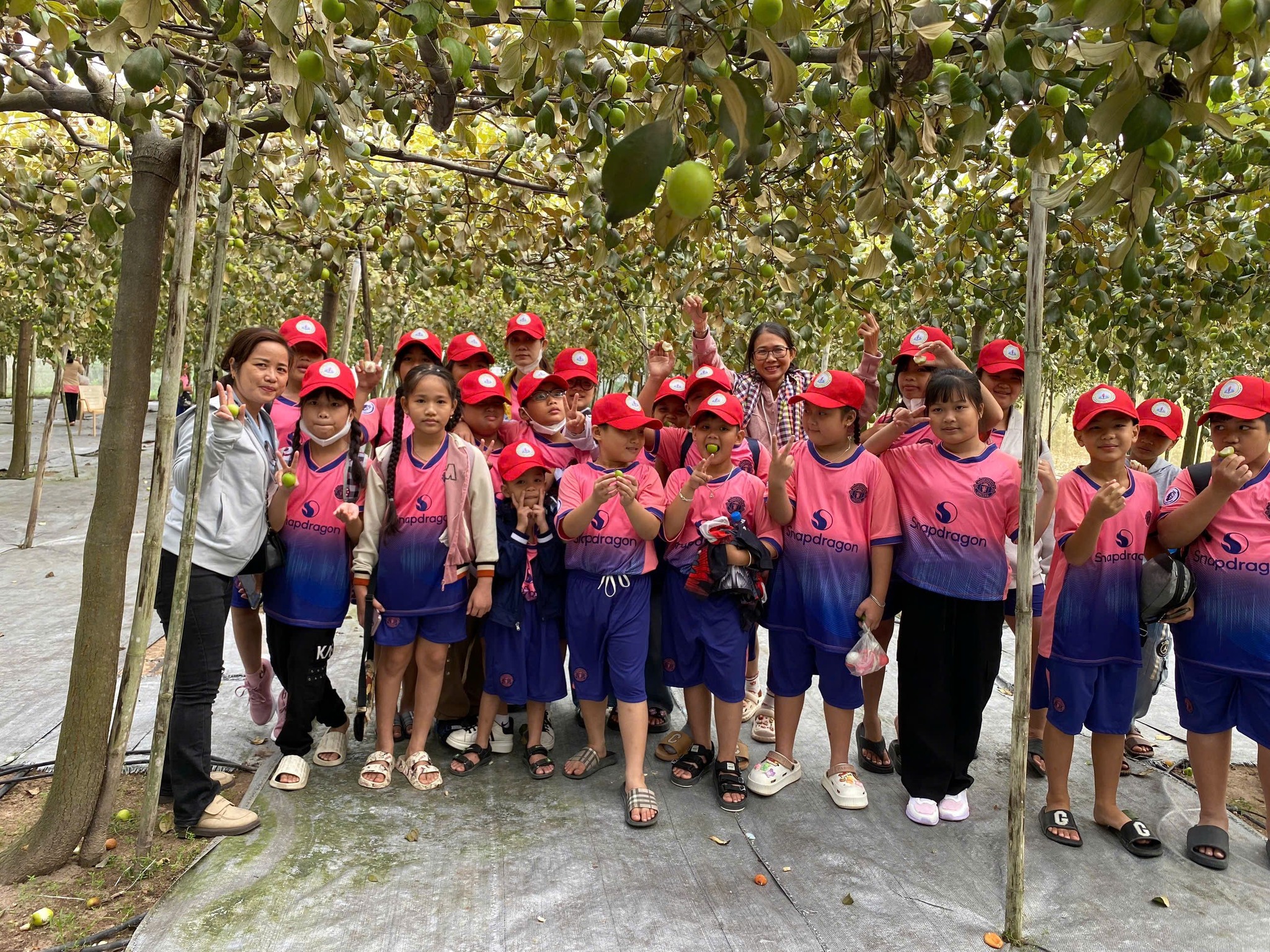 Th&uacute; vị những loại h&igrave;nh Trekking sảng kho&aacute;i ở khu giải tr&iacute;- Ảnh 4.