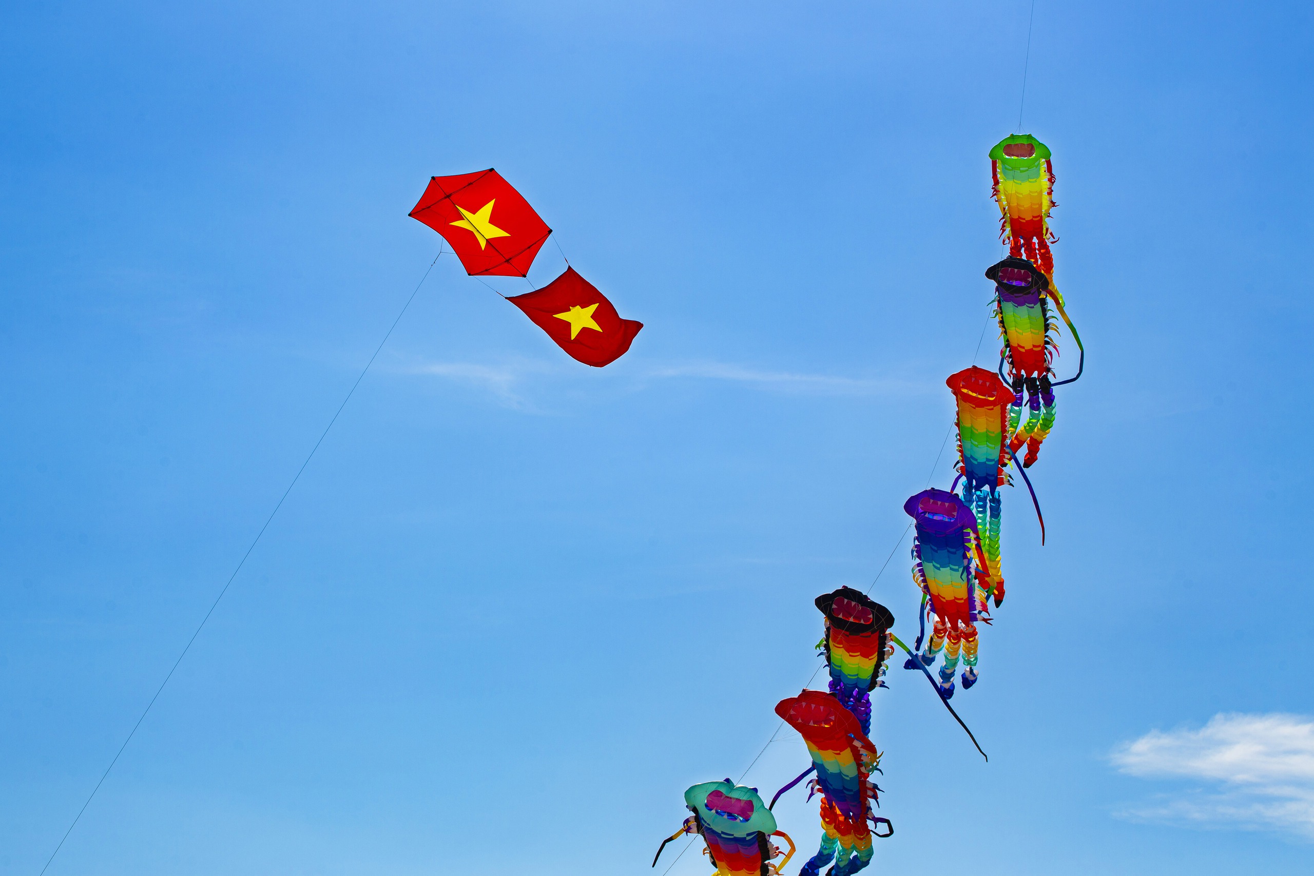 Bay cao giữa trời xanh. Ảnh: TRẦN PHƯỚC THẢO