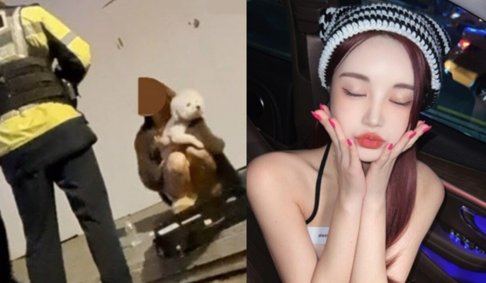 Mỹ nữ t&ugrave; 8 năm do say rượu l&aacute;i xe, tai nạn chết người- Ảnh 1.