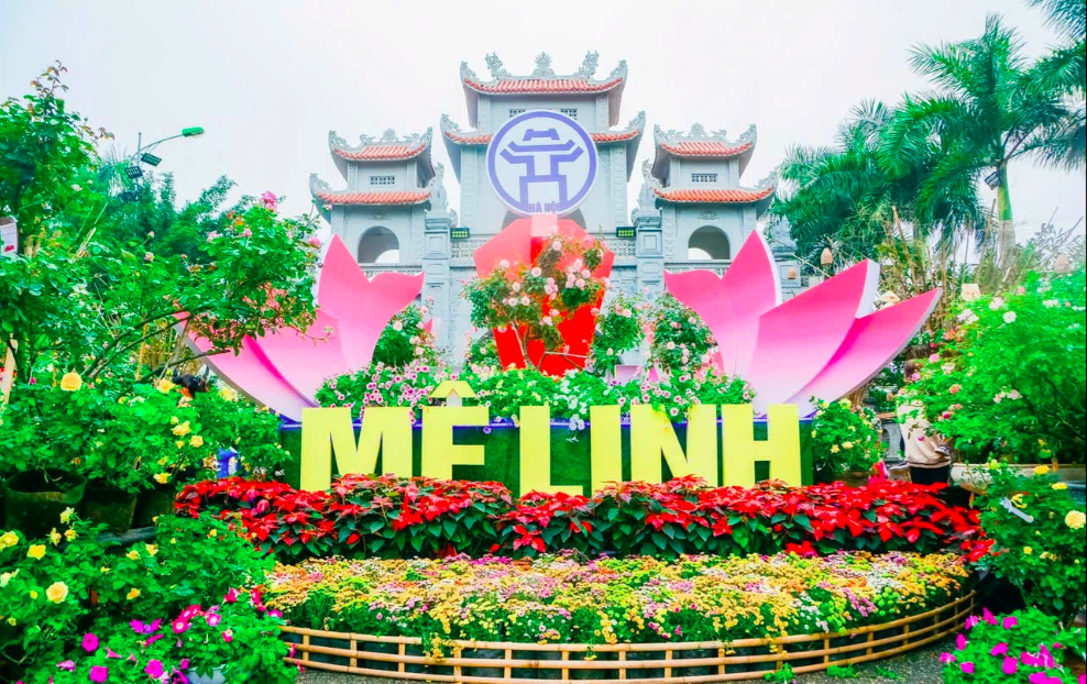 Ca sĩ Hòa Minzy, Đức Phúc sẽ biểu diễn tại Festival hoa Mê Linh- Ảnh 1.