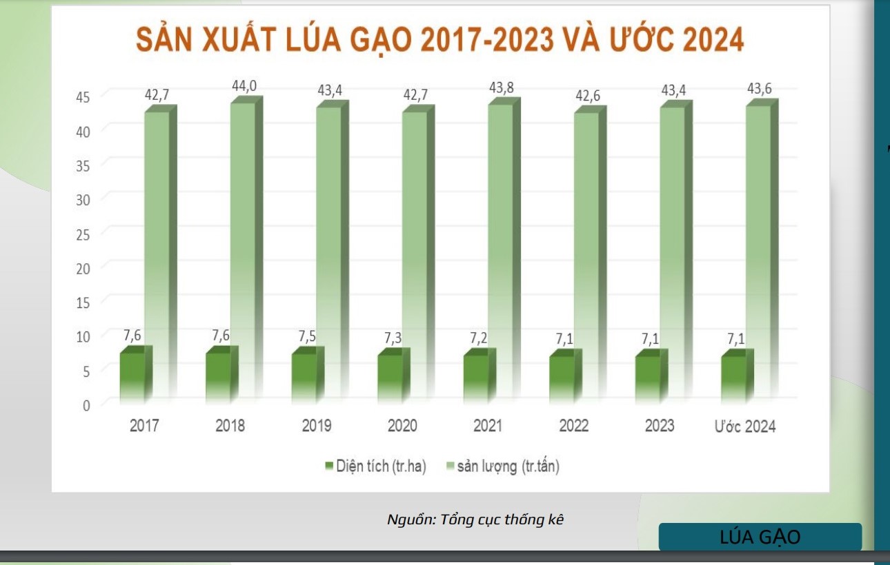 Giải m&atilde; kỷ lục xuất khẩu gạo kh&oacute; tin của Việt Nam- Ảnh 2.